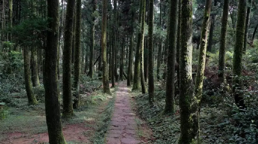 【台灣也搶到全球第一認證】「國際寧靜公園」超嚴格尋覓靜謐聖地！呼籲人們珍惜疫情帶來的「寧靜」
