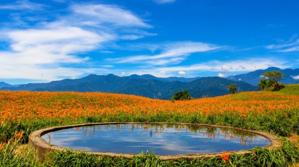 【開車才能到的絕美景點】精選3個「療癒放鬆」的自然景點：花蓮六十石山、基隆望幽谷、新北鱷魚島