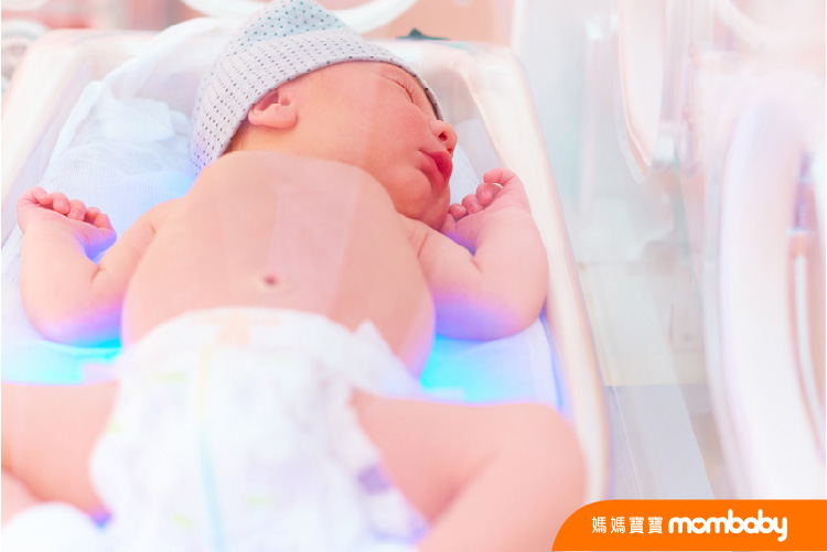 〈別冊〉Part 3：迷思整理3