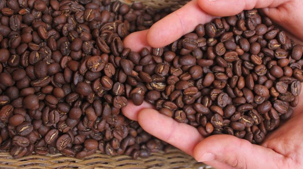 【自己的咖啡自己救】當世界就要沒咖啡可喝，上班前買「這種咖啡」再上！