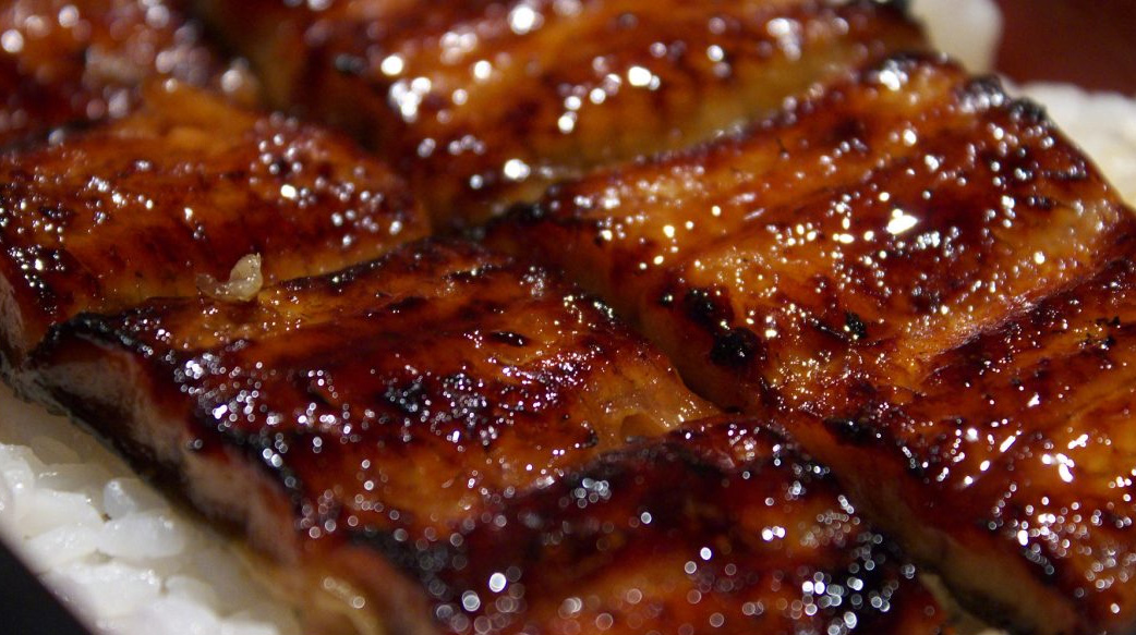 【饕客跪在地上哭】台灣鰻魚捕獲量 50 年來最低！全球該如何搶救珍貴鰻魚？