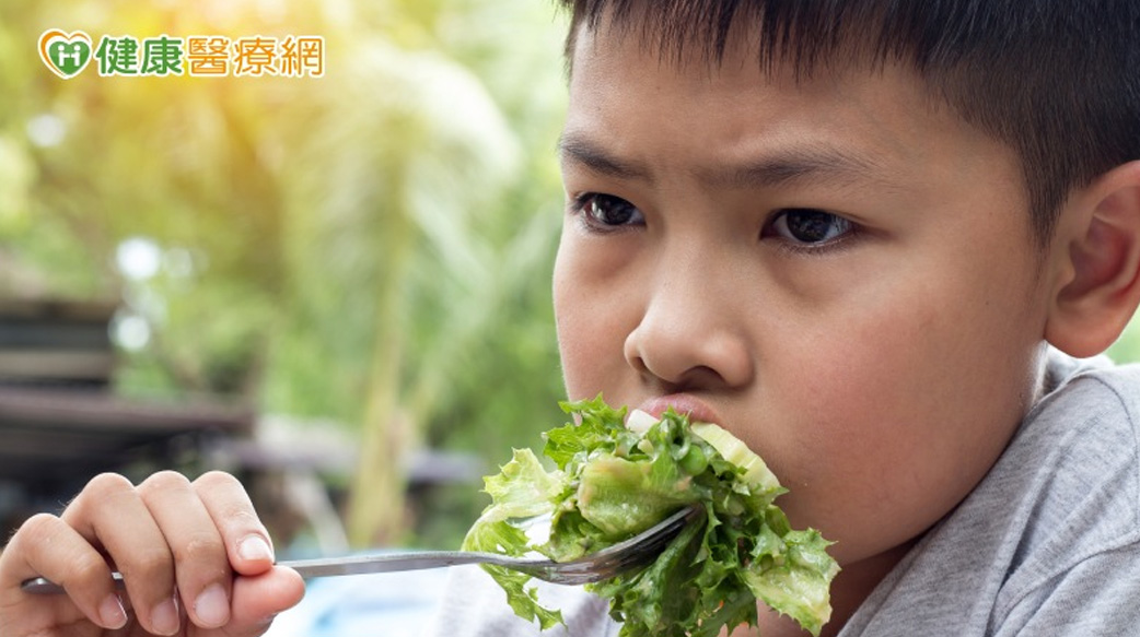 挑食者有福啦！　「這些食材」找對營養素一樣健康滿分