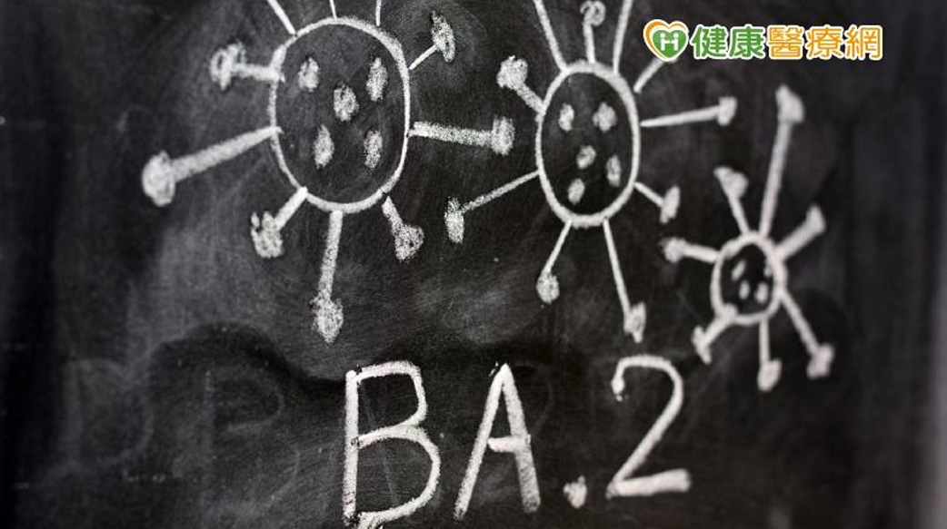 Omicron亞變種BA.2威脅大？再感染、重症率　最新研究出爐