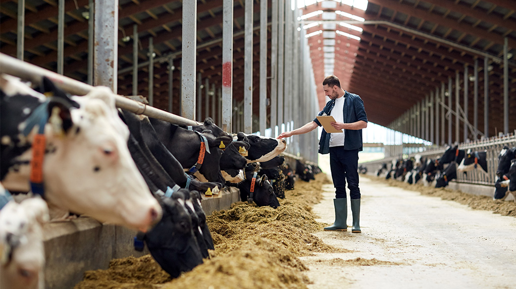 烏克蘭境內糧食供應戰