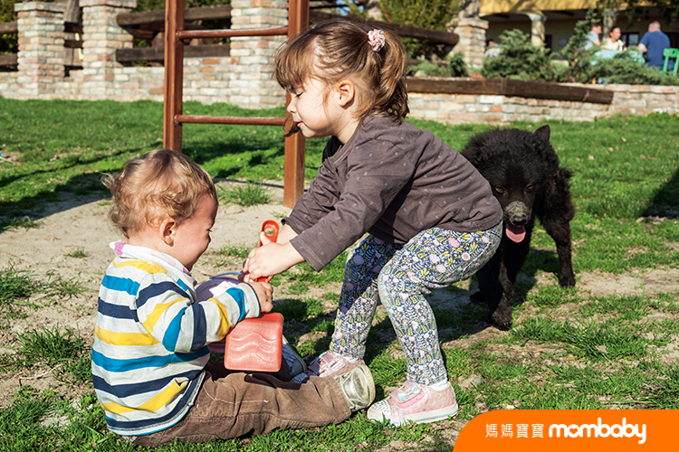 Brother,And,Sister,Fighting,Over,A,Toy,In,The,Park