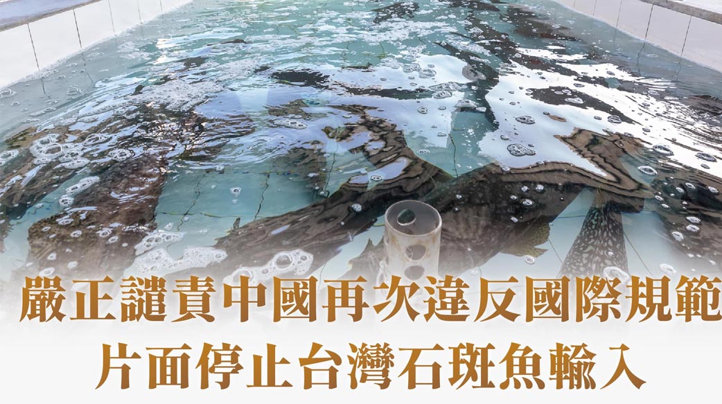 是時候狂吃石斑魚了嗎？