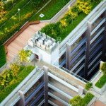 綠色屋頂有多好？這座瑞士城市把它納入建築法，帶動城市環保趨勢，連倫敦也在效仿！