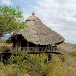 非洲最佳safari猎游旅店