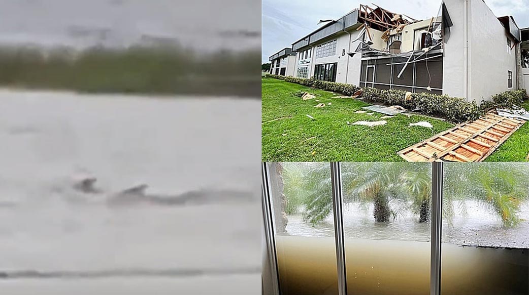 鯊魚在街上游泳！颶風「伊恩」釀美佛州至少88人死、4萬人無家可歸