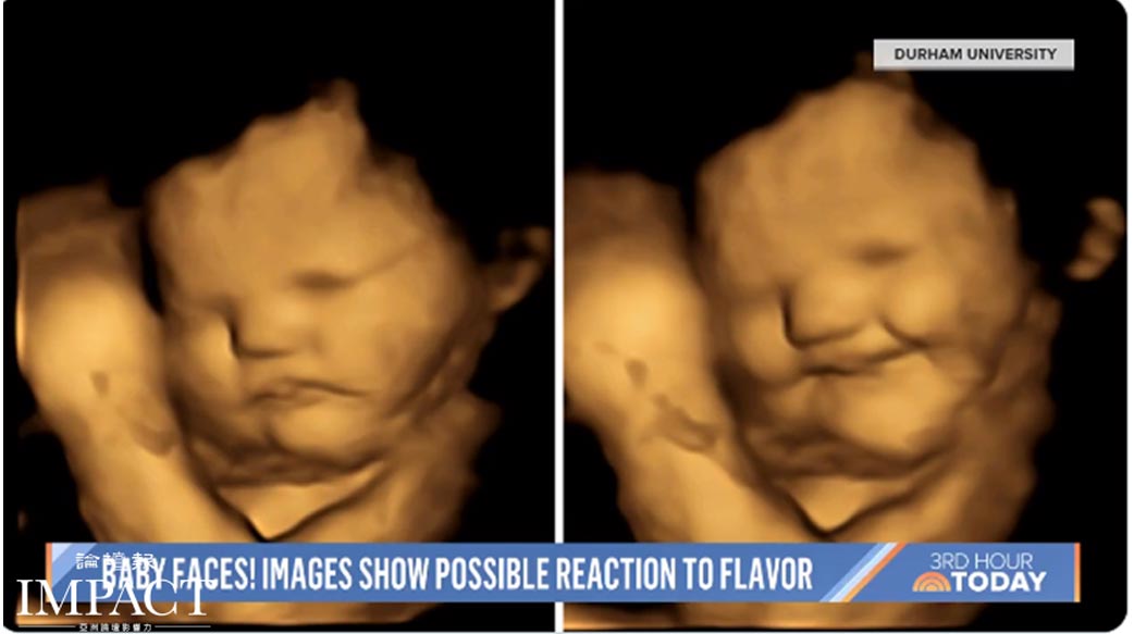 3D超音波影像驚人發現 胎兒在母腹中對味道有反應