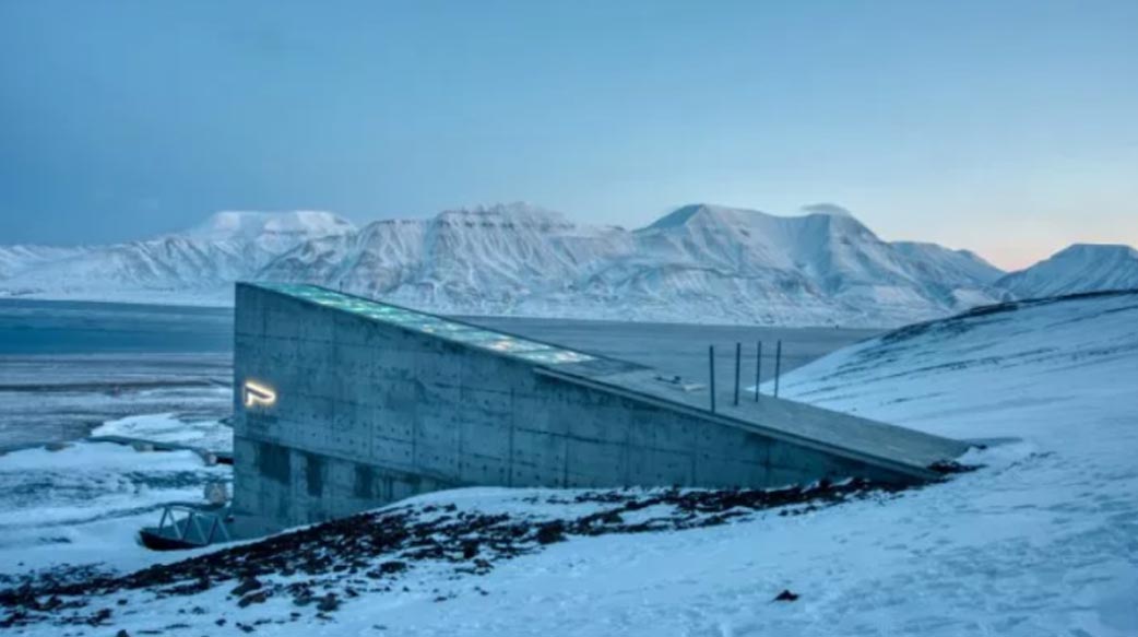 每年只開三次門的挪威全球種子庫，也找得到台灣原住民社區的珍貴豆種！
