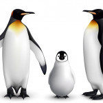 皇帝企鹅正式列为濒危物种