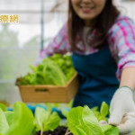 6旬婦積極治療、平時愛種菜　竟能與「癌王」共存3年
