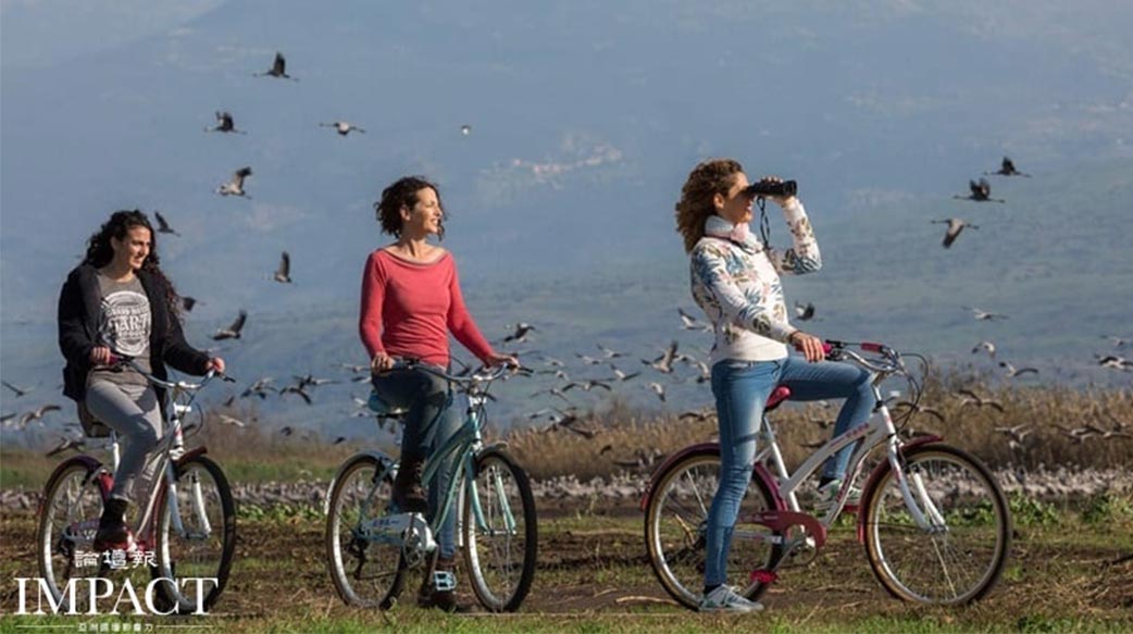 造物主的奇蹟： 鳥類大遷徙 以色列是5億隻鳥類的年度中繼站