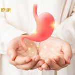 【胃痛專題】保「胃」健康從何做起？　營養師：先了解胃部結構！提供3種營養素