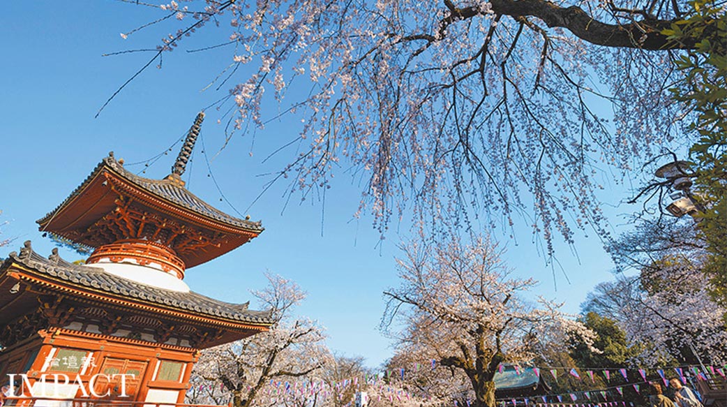 【關東迷人小鎮 古建築重現江戶風情】日本牧師之女星原恩帶你遊川越古城