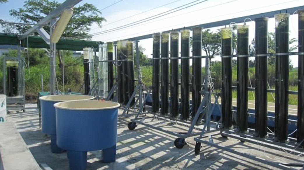 藻類竟然可以吃掉工業碳排！這三間台灣新創給企業新管道，加速永續轉型