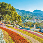 【三月賞花去】北投三層崎公園 看大自然拼布花海