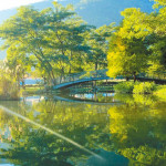 陽光，奔放內灣山水