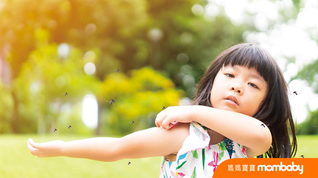 春夏常見5種蟲蟲危機！醫師教你從皮膚反應初步辨識被何種蚊蟲叮咬，以及如何掌握就醫治療時機