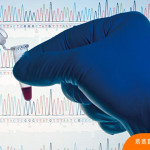 胎兒異常常見三大類．事先知道及早介入治療