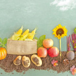 殷切等待　經歷忍耐後的豐收