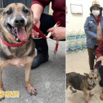 銀髮族養寵物好處多　延緩認知衰退、減少孤獨、增加快樂