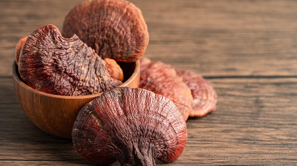 中國蘑菇掀起熱議