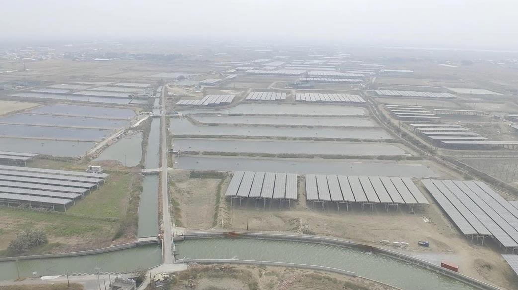 是漁電共生，還是漁電共死？