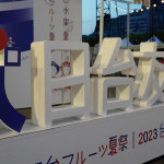 參觀總統府，所見大不同