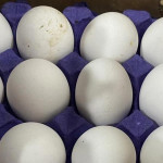 農業部不跟巴西學嗎？