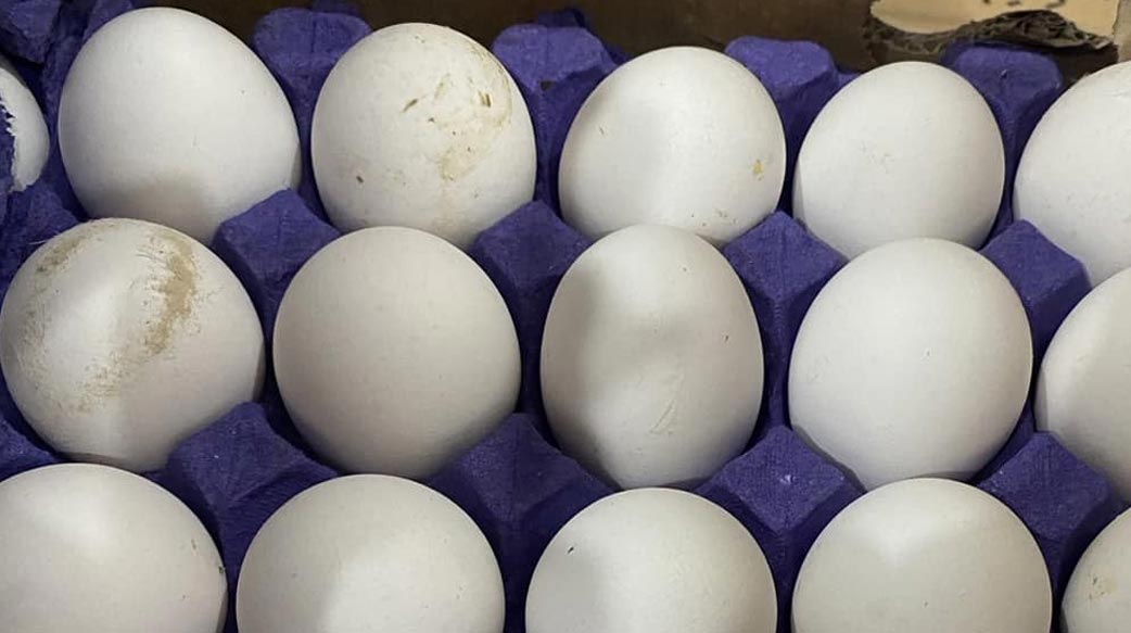 軍中伙食藏玄機