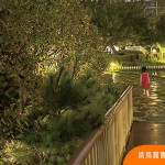 爸爸育兒不是只有呼吸就好！其實有呼吸也不簡單，你以為爸爸就像根不會動的木頭……