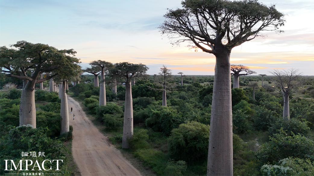 南島屬靈拓界之馬達加斯加