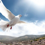 【苦難是上帝化身的祝福！】 公司成立前十多年沒賺錢 洪源隆從壓力爆表到突破翻轉