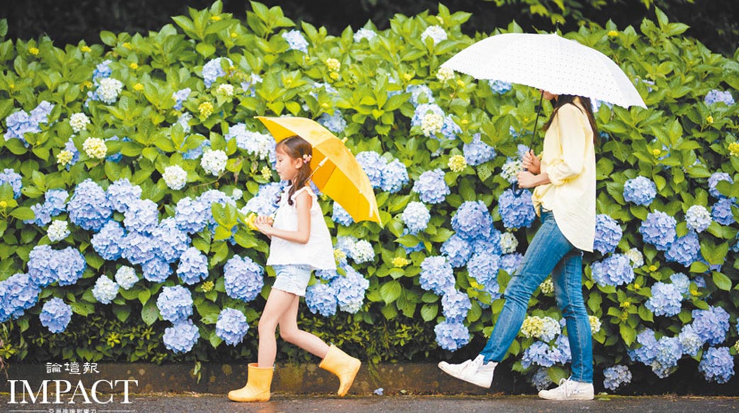 嫁給我，你有幸福嗎？