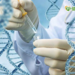 了解慢性淋巴性白血病用藥！　新一代BTK抑制劑標靶治療前要基因檢測嗎？