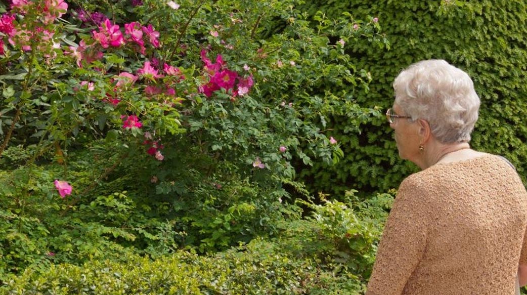【時事回應】失智家人走失是家屬難承受之痛 春節假期是失智走失高風險期 陪伴他們不忘回家路