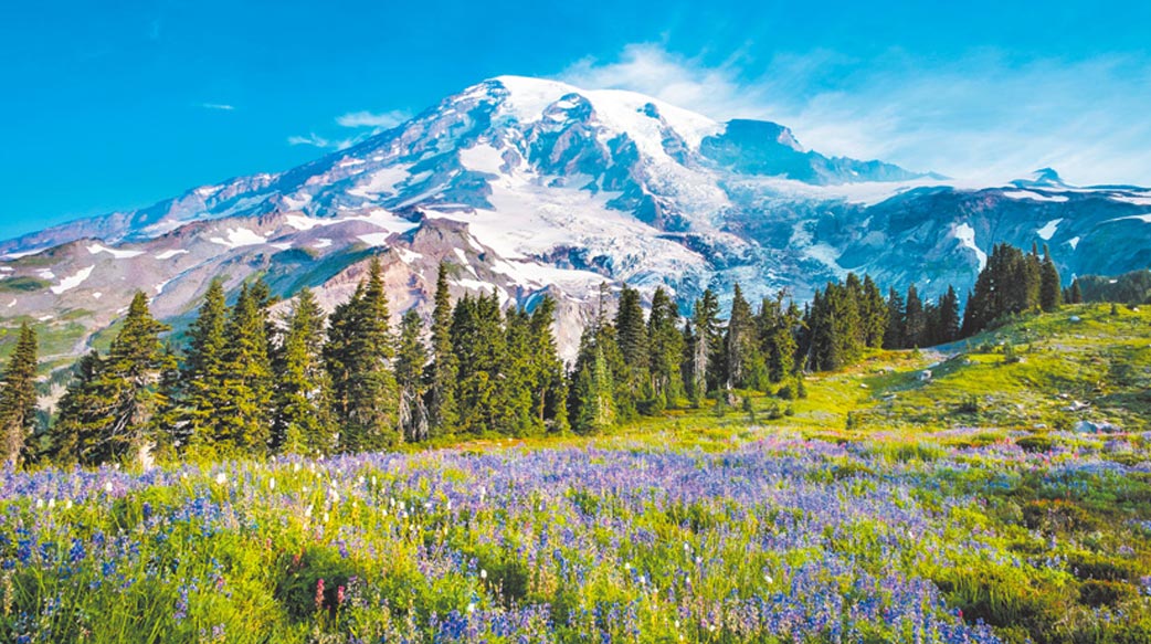 走訪西雅圖壯麗的雷尼爾山國家公園