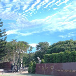 大罷免連署擺進元智校內，真把大學當綠營「黨校」？