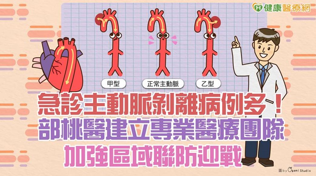 急診主動脈剝離病例多！部桃醫建立專業醫療團隊　加強區域聯防迎戰