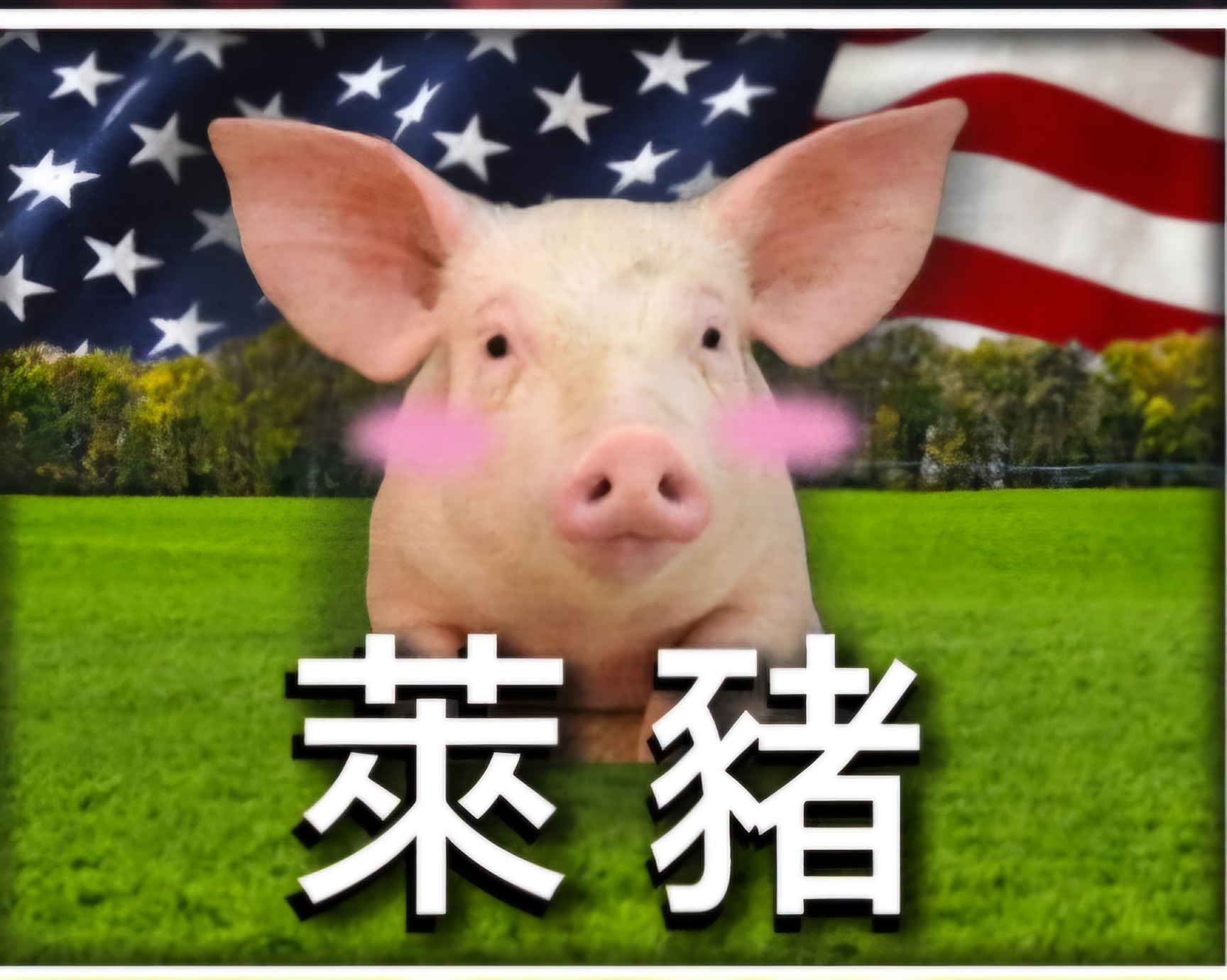 萊劑如影，流向霧濛濛，真相卻已隱形