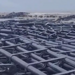 告個啥米碗糕？