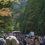 日本森林浴：沉浸大自然的减压练习
