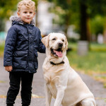 将爱犬称为“毛孩”可是有著科学根据