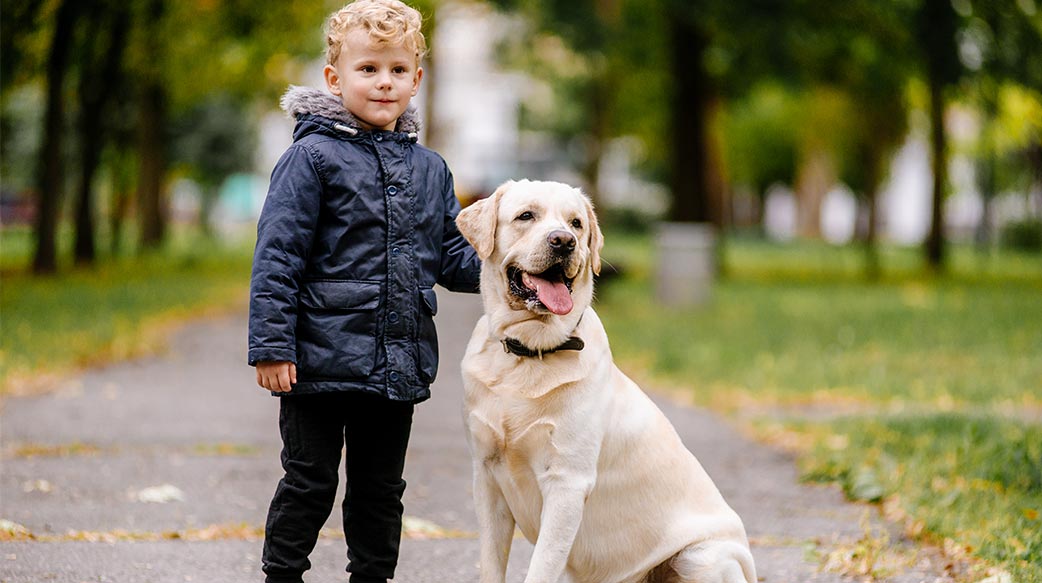 将爱犬称为“毛孩”可是有著科学根据