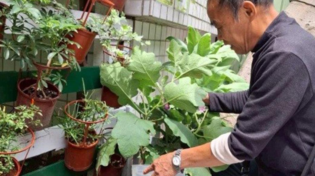绿色处方，银色幸福