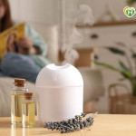 健忘、失眠、專注力下降？中醫教：肝腎調理＋芳香精油助健腦