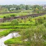 國土危脆，美麗山河已不在   民進黨正在毀滅台灣家園
