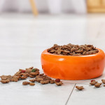 业者藉“宠物人性化”趋势加速成长